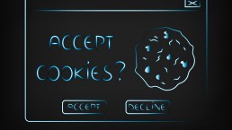 Bild zu Accept Cookies